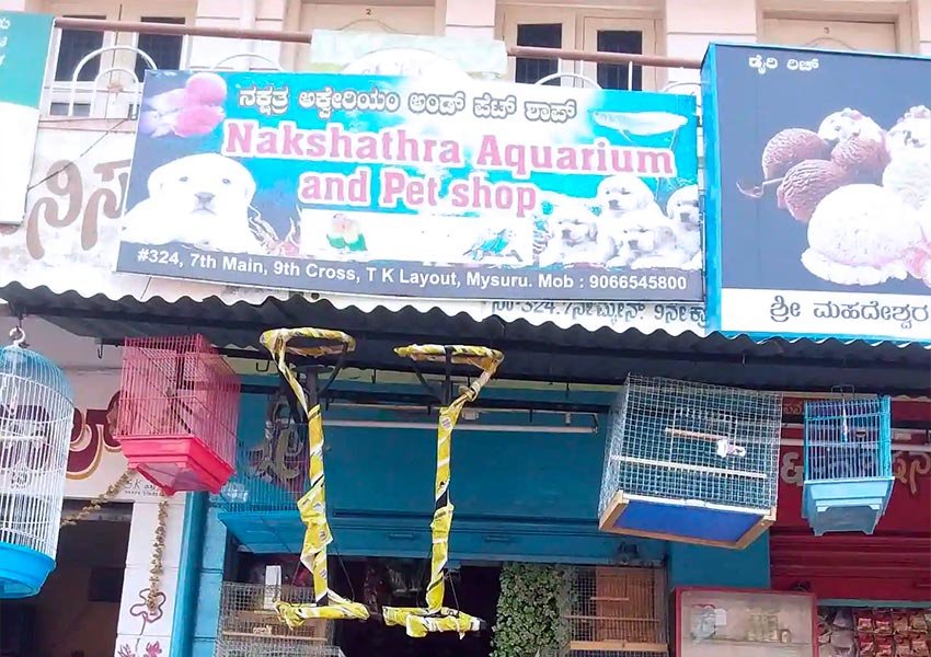 Pet Shops in Mysore - 05