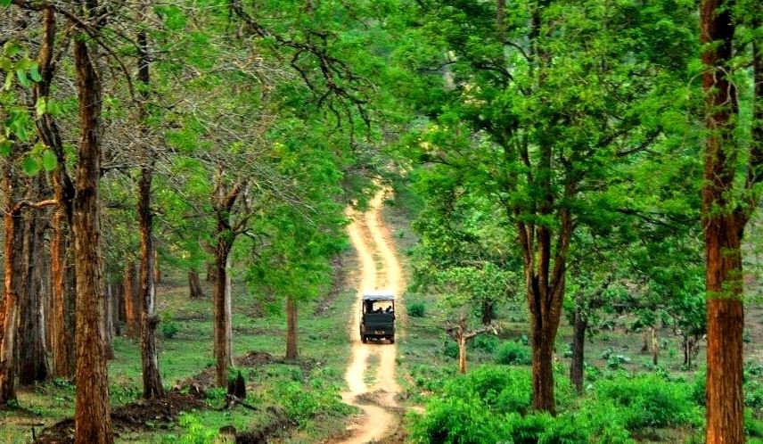Kabini Wildlife Sanctuary - 02 - Jeep going on the road