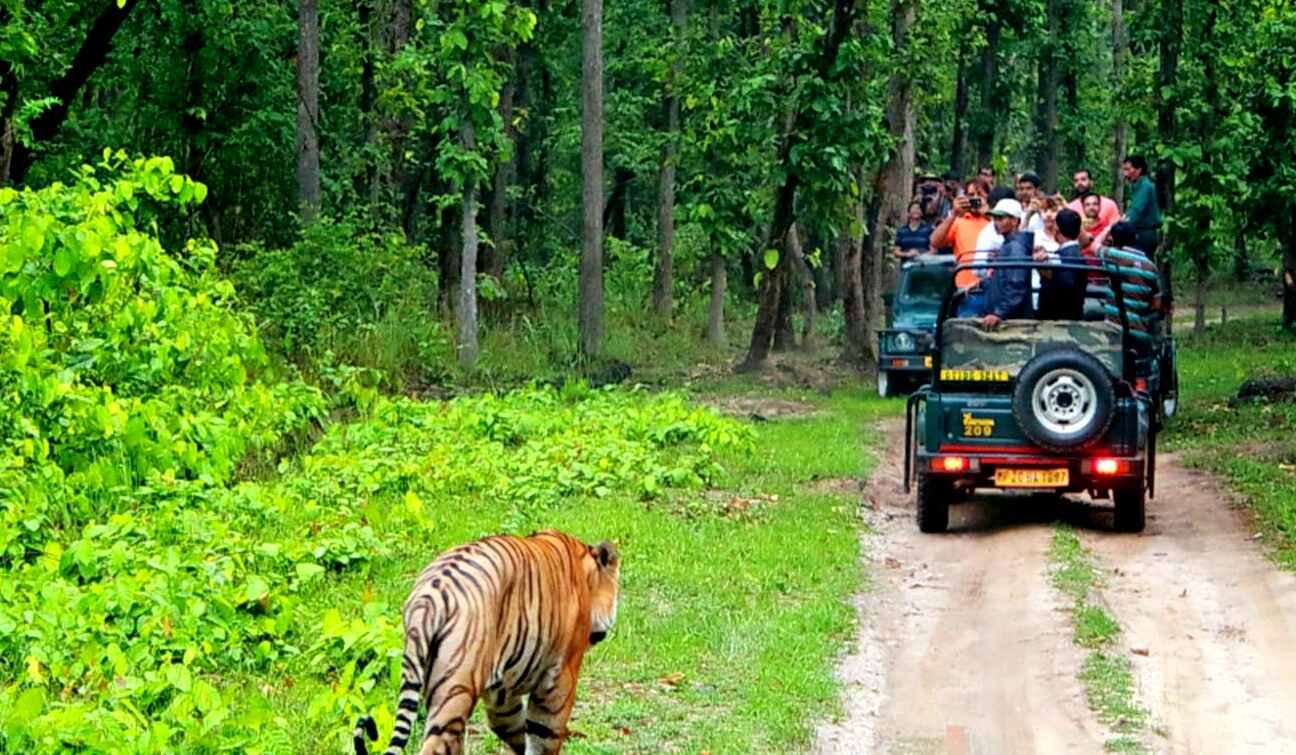 bandipur safari season