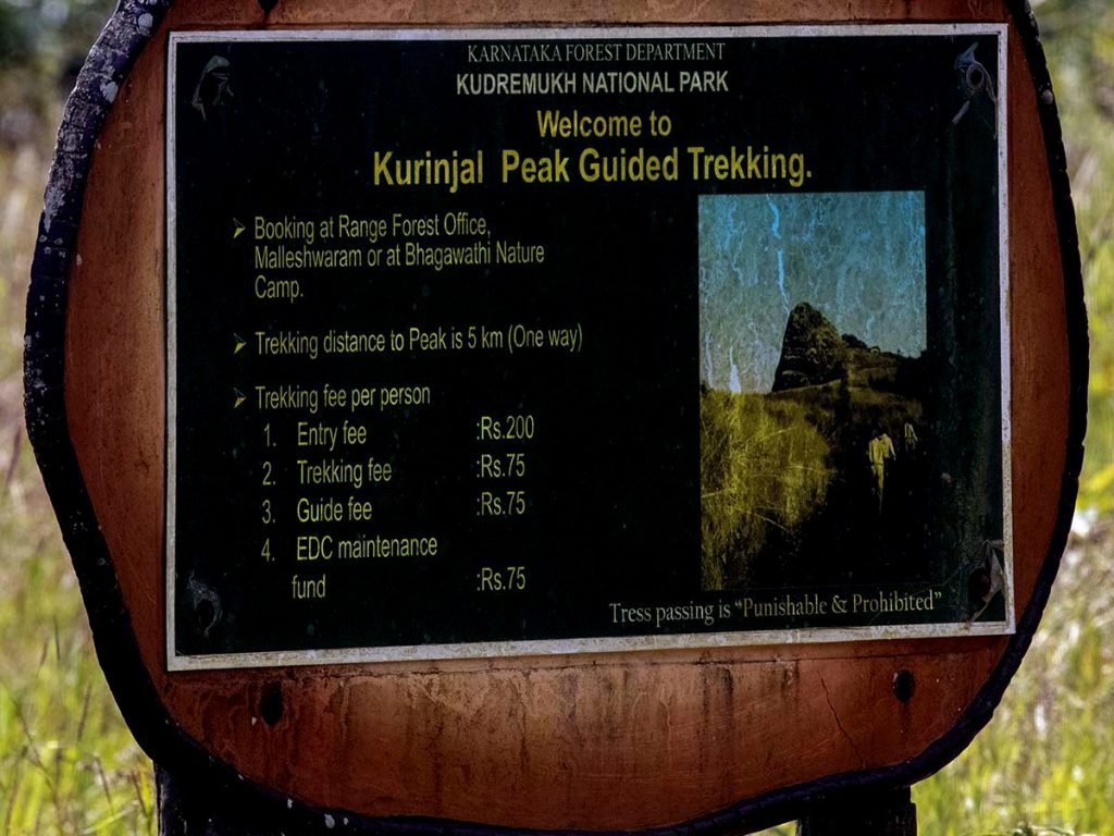 Kurinjal Peak Trek 06