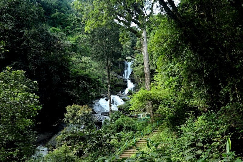Coorg in India 09