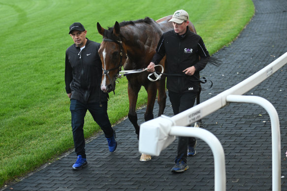 Waller (left) helps bring Via Sistina in for a rest after her unscheduled heavy workout.