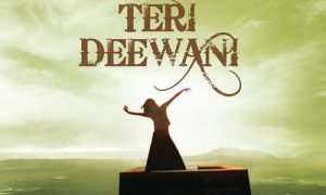 Lyrics Teri Deewani 03