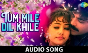 Tu Mile Dil Khile Lyrics 01