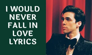 i would never fall in love lyrics 03